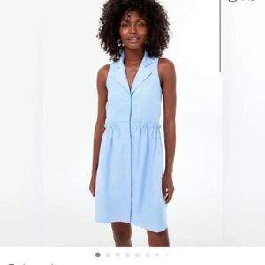 Tuckernuck Oxford Sleeveless Royal Chambray Blue Shirt Dress Size Small